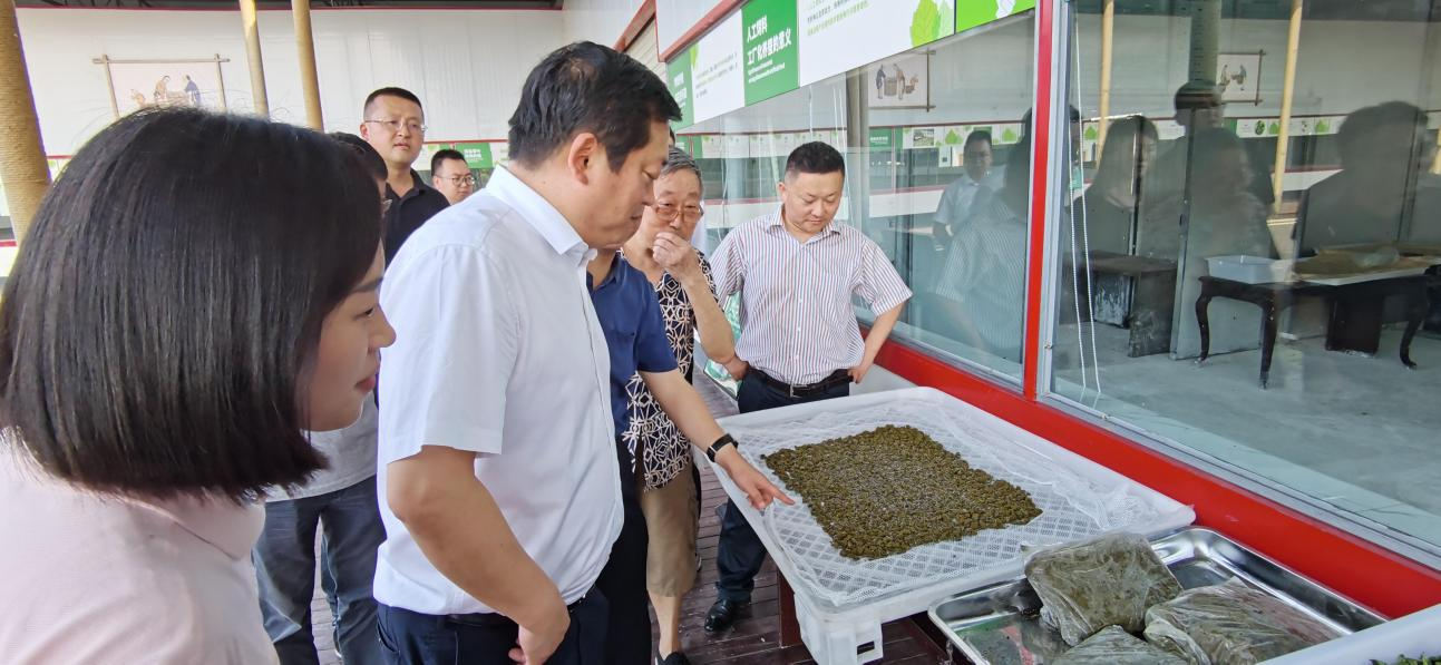 省hndrkj.com集团党委副书记、董事陈日赴嘉陵区调研茶桑产业发展情况